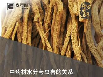 《森羅萬象》，萬象包羅 第3問