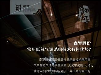 《森羅萬象》，萬象包羅第91問